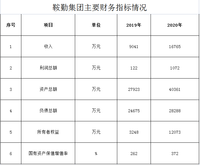 XPJ集团2019年度-2020年度财务指标情况